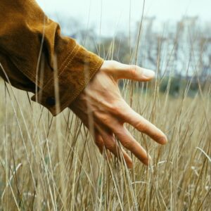 Course : META NATURE - Beyond Mind. Back to Neutral.