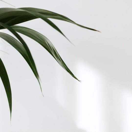 Gentle Ways to Regain Mental Clarity in Daily Life